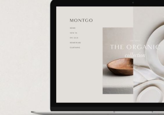 website development in karachi